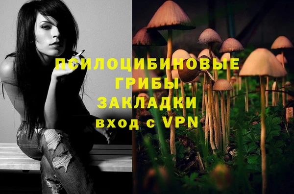 круглые Белокуриха