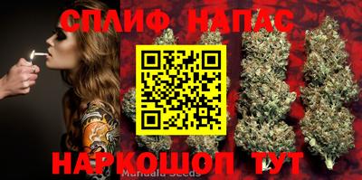 прущие крисы Аргун