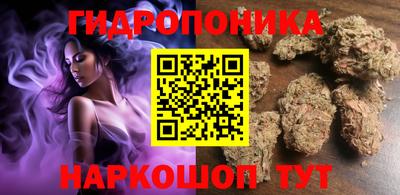 прущие крисы Аргун