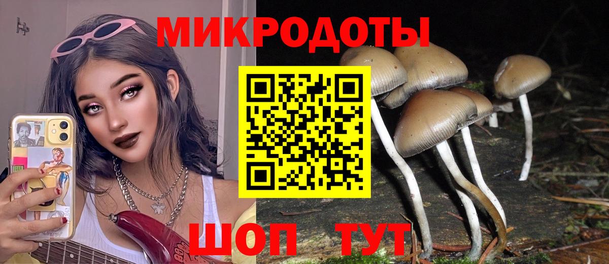 Бор  Псилоцибиновые грибы Magic Shrooms  Вход с VPN 